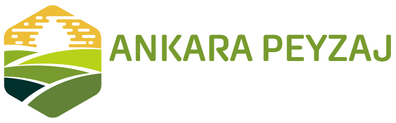 Ankara Peyzaj - Peyzaj Uygulamaları - Peyjaz Firması