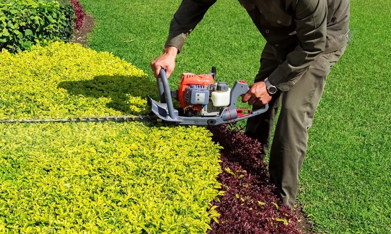 Peyzaj Bakım & Onarım Hizmeti