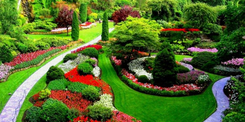 Yapısal & Bitkisel Uygulamalar