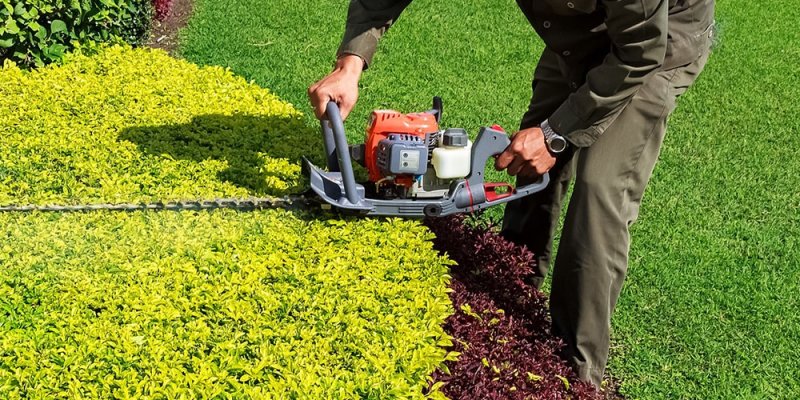 Peyzaj Bakım & Onarım Hizmeti