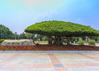 Ankara’da Dış Mekânların Değerini Artıran Özel Peyzaj Fikirleri