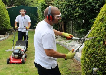 Peyzaj Bakım ve Onarım: Ankara’da Yeşil Alanlarınızı Korumanın Yolları